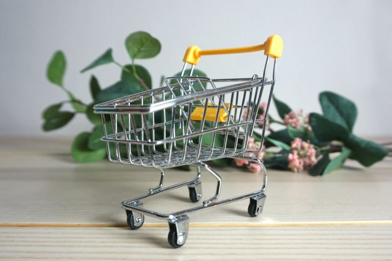 Favoriete supermarkt Albert Heijn Lidl Plus